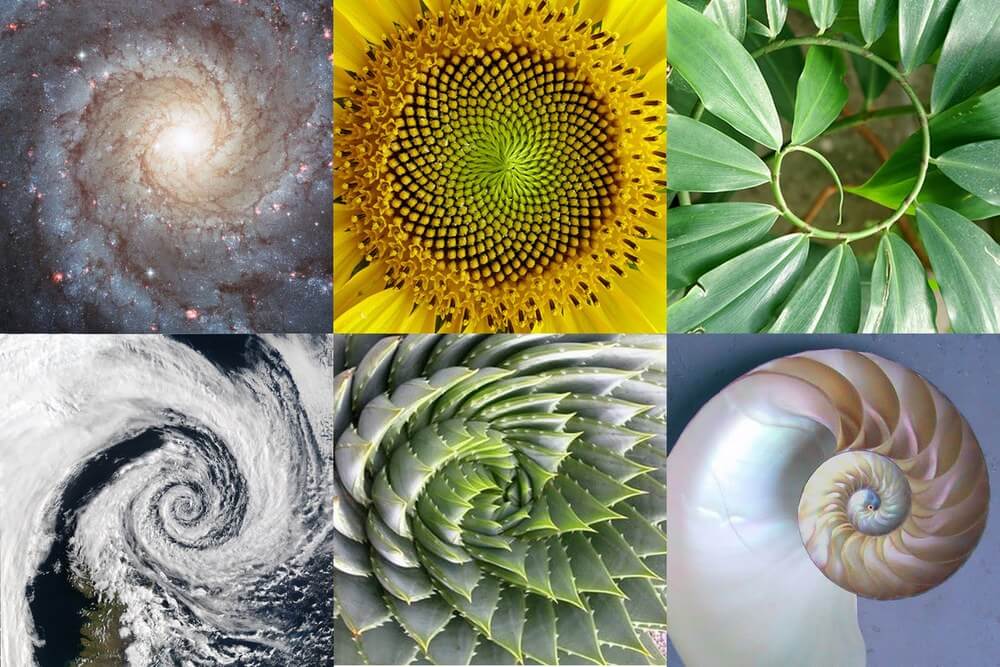 el numero de dios matematicas y diseno