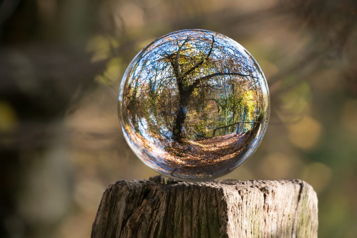 perspectivas