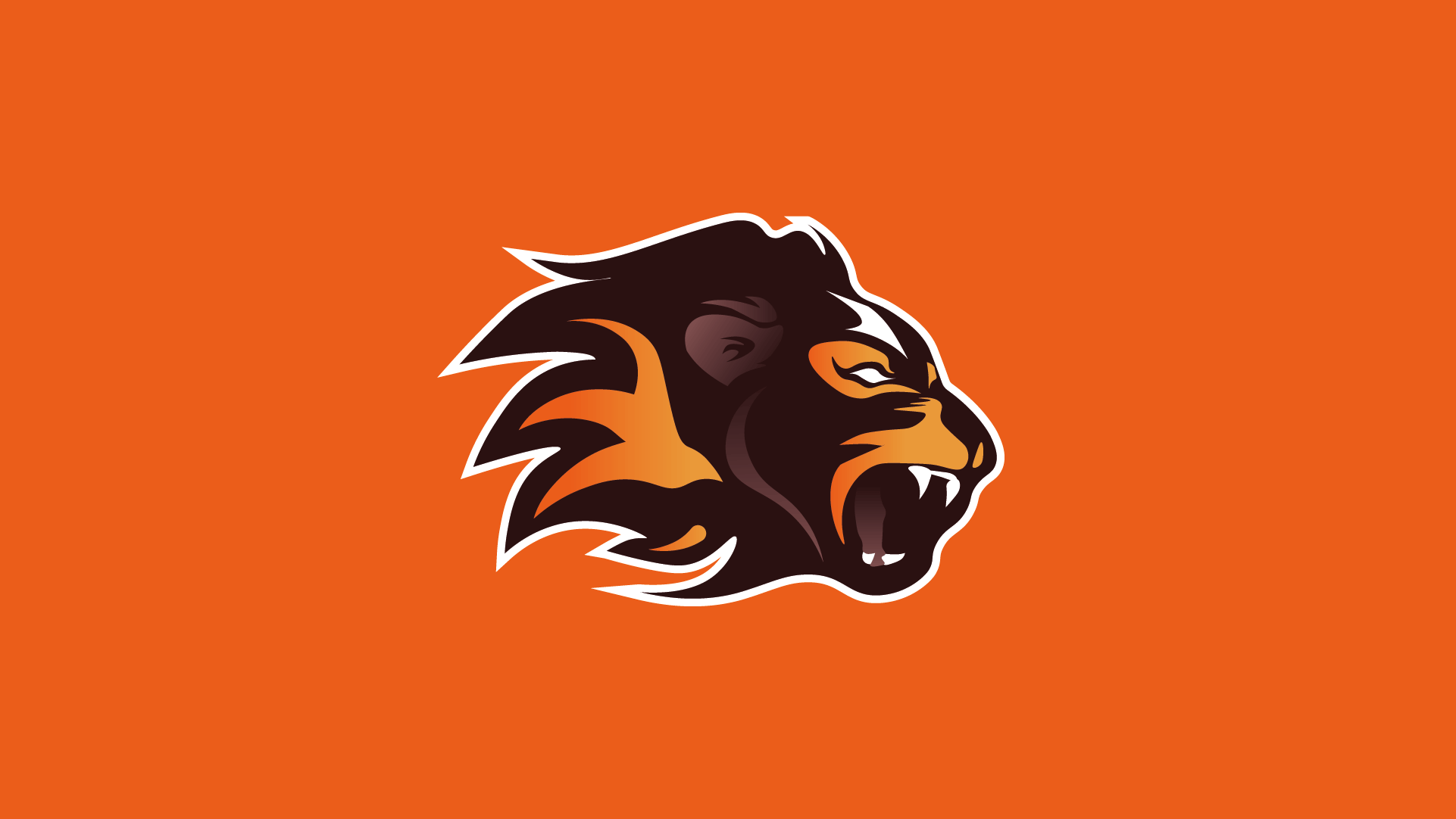 Leones Anáhuac